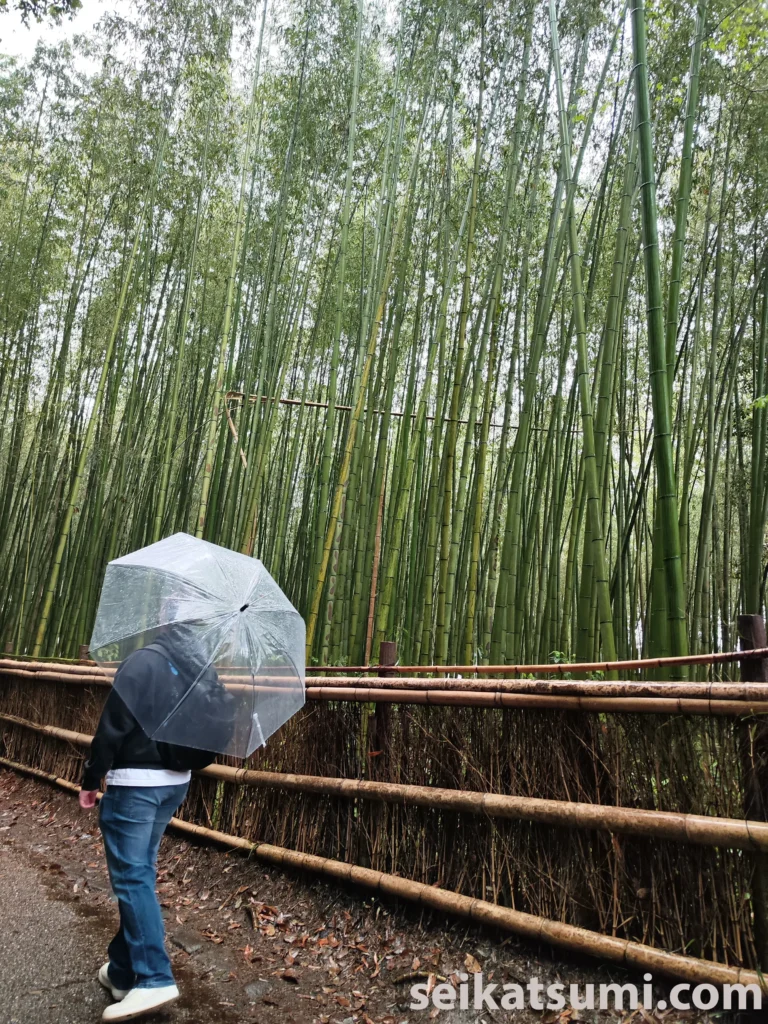 Best Area to Stay in Kyoto: Discover the Perfect Neighborhood for Your Trip 2024! 8 Arashiyama with raindrops and umbrella bambus forest