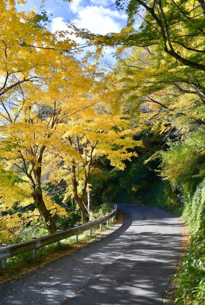 A fall landscape photo of Yellow Spring Road in Japan, with yellow-leaved trees, stone lanterns, and a stone statue under traditional rooftops.