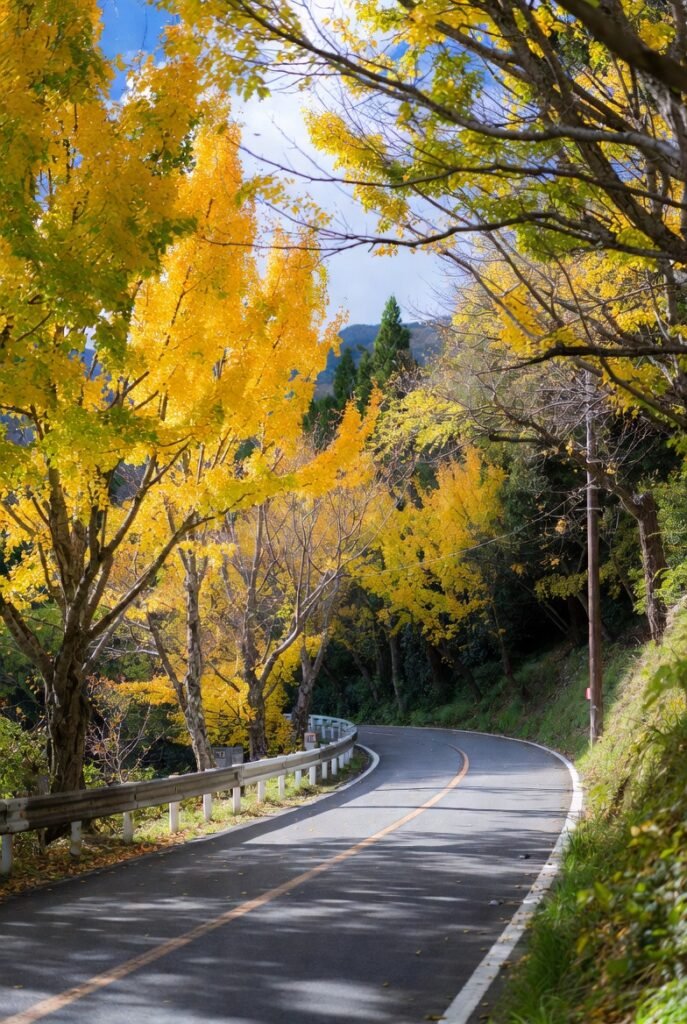A real autumn snapshot from Yellow Spring Road, Japan, showing a tree-lined path covered in yellow leaves with stone lanterns and a statue nearby.
