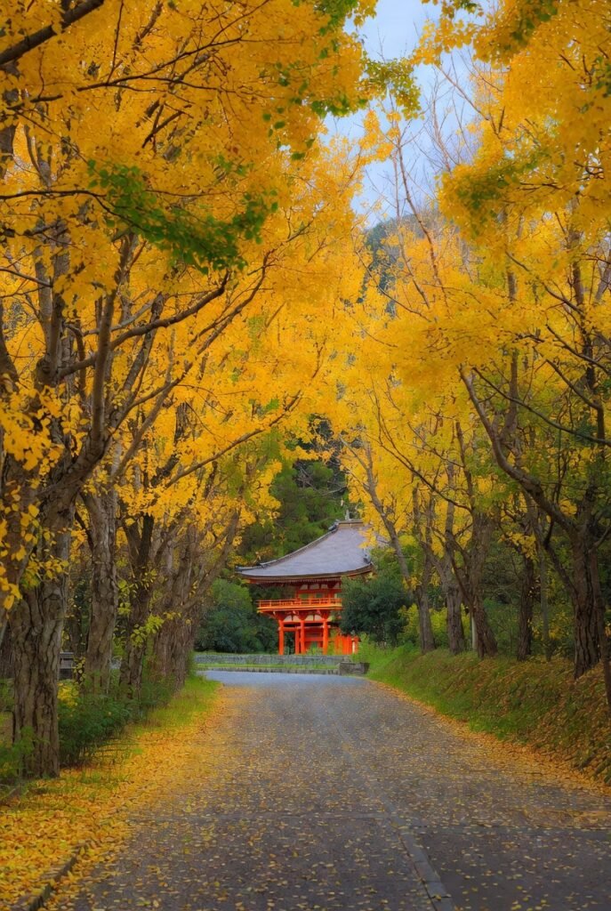 A realistic scene from Yellow Spring Road in Japan during autumn, where golden leaves cover the path, and stone lanterns stand alongside old Japanese buildings.