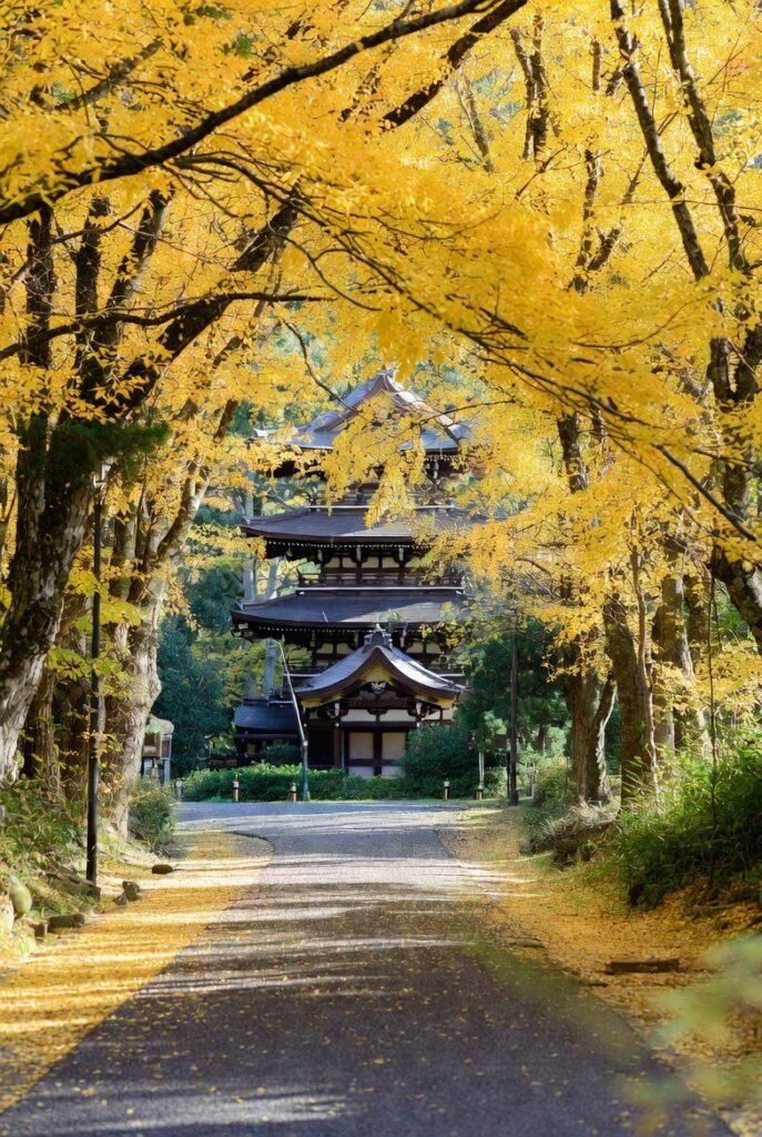 A photograph of Yellow Spring Road in Japan in autumn, framed by yellow foliage, stone lanterns, a stone statue, and traditional wooden houses.