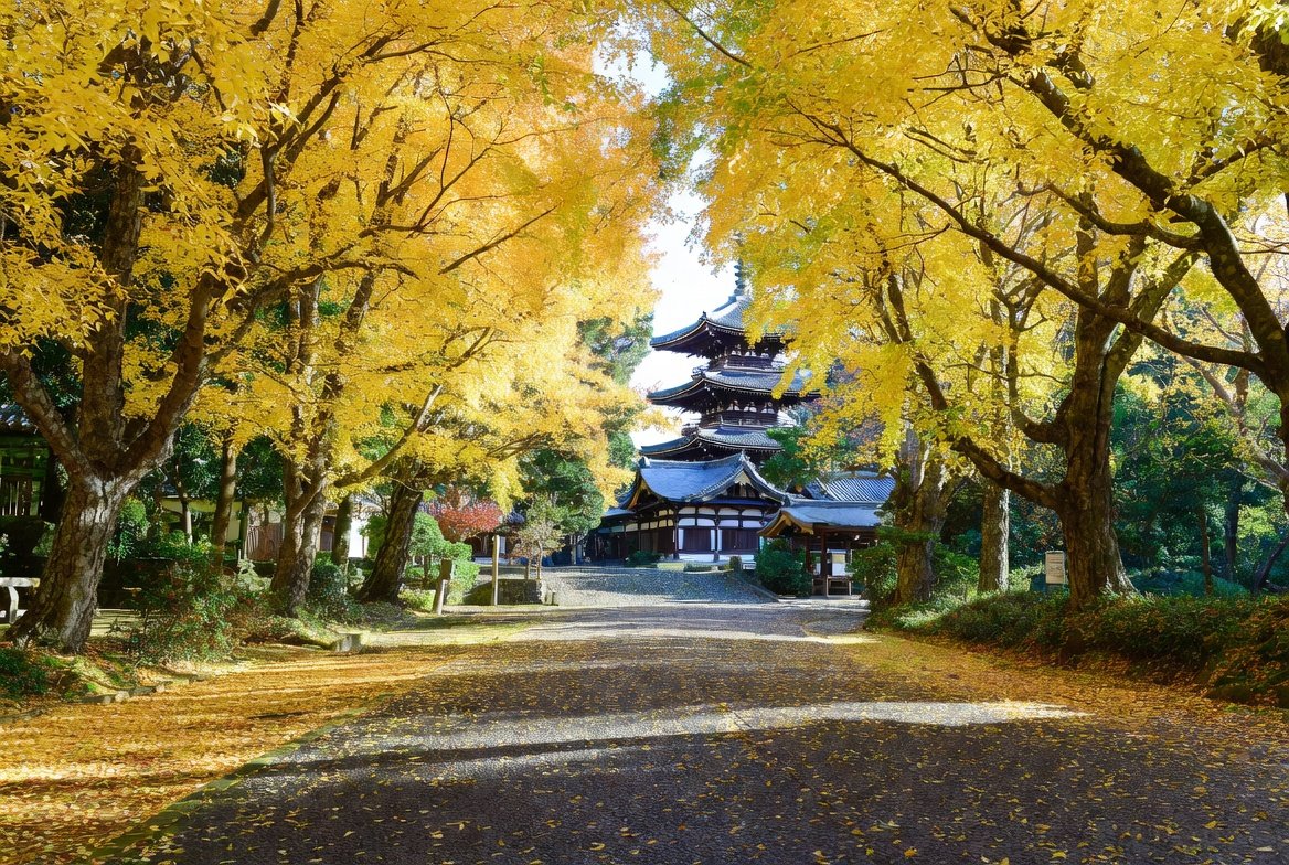 A serene autumn scene on Yellow Spring Road in Japan, leading to a traditional temple.